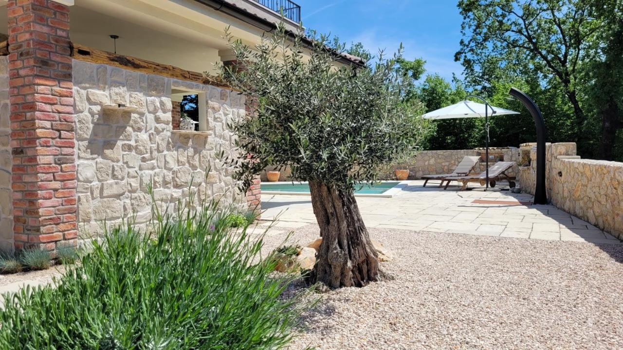 Villa Alara - Charming Villa With Heated Swimming Pool Milohnici Екстериор снимка